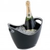 Acryl wijnkoeler/Champagne bowl